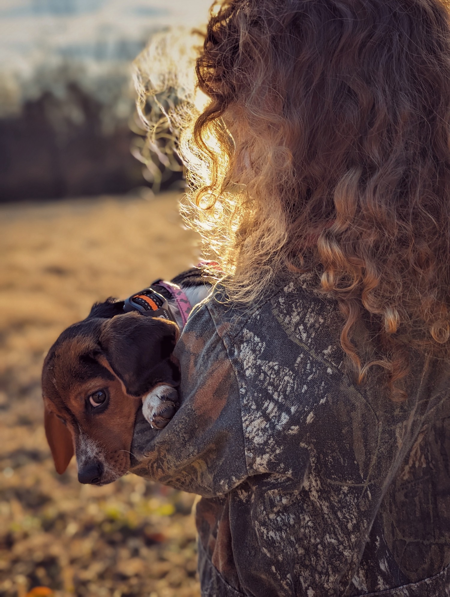 The Love of a Beagle Mossy Oak